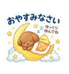 ずっと使える挨拶♡トイプードル（個別スタンプ：4）
