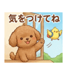 ずっと使える挨拶♡トイプードル（個別スタンプ：10）