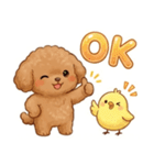 ずっと使える挨拶♡トイプードル（個別スタンプ：11）