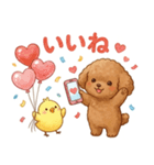 ずっと使える挨拶♡トイプードル（個別スタンプ：12）