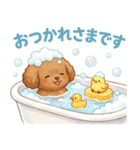 ずっと使える挨拶♡トイプードル（個別スタンプ：13）