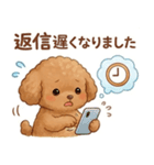 ずっと使える挨拶♡トイプードル（個別スタンプ：14）