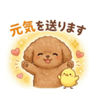 ずっと使える挨拶♡トイプードル（個別スタンプ：16）