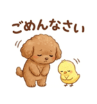 ずっと使える挨拶♡トイプードル（個別スタンプ：17）