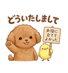 ずっと使える挨拶♡トイプードル（個別スタンプ：18）