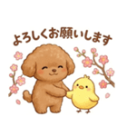 ずっと使える挨拶♡トイプードル（個別スタンプ：20）