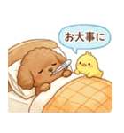 ずっと使える挨拶♡トイプードル（個別スタンプ：21）