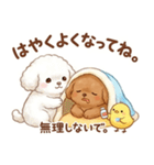 ずっと使える挨拶♡トイプードル（個別スタンプ：22）