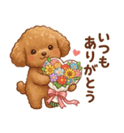ずっと使える挨拶♡トイプードル（個別スタンプ：24）