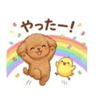 ずっと使える挨拶♡トイプードル（個別スタンプ：25）
