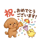ずっと使える挨拶♡トイプードル（個別スタンプ：26）