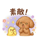 ずっと使える挨拶♡トイプードル（個別スタンプ：28）