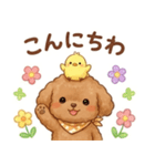 ずっと使える挨拶♡トイプードル（個別スタンプ：29）