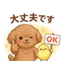 ずっと使える挨拶♡トイプードル（個別スタンプ：30）