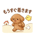 ずっと使える挨拶♡トイプードル（個別スタンプ：31）