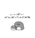 へんてこなべびぺんぎん③（個別スタンプ：5）