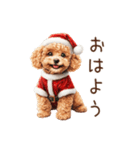 やさしいサンタトイプードルのクリスマス（個別スタンプ：1）
