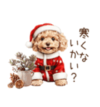 やさしいサンタトイプードルのクリスマス（個別スタンプ：3）