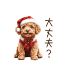 やさしいサンタトイプードルのクリスマス（個別スタンプ：4）