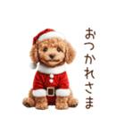 やさしいサンタトイプードルのクリスマス（個別スタンプ：5）