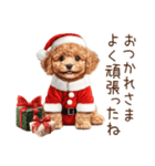 やさしいサンタトイプードルのクリスマス（個別スタンプ：6）