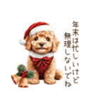 やさしいサンタトイプードルのクリスマス（個別スタンプ：10）