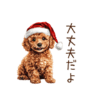 やさしいサンタトイプードルのクリスマス（個別スタンプ：12）