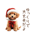 やさしいサンタトイプードルのクリスマス（個別スタンプ：13）