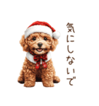 やさしいサンタトイプードルのクリスマス（個別スタンプ：14）