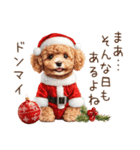 やさしいサンタトイプードルのクリスマス（個別スタンプ：15）