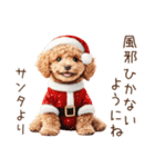 やさしいサンタトイプードルのクリスマス（個別スタンプ：16）