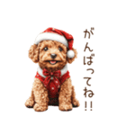 やさしいサンタトイプードルのクリスマス（個別スタンプ：19）