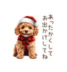 やさしいサンタトイプードルのクリスマス（個別スタンプ：20）
