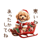 やさしいサンタトイプードルのクリスマス（個別スタンプ：21）