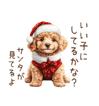 やさしいサンタトイプードルのクリスマス（個別スタンプ：25）