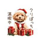 やさしいサンタトイプードルのクリスマス（個別スタンプ：27）