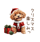 やさしいサンタトイプードルのクリスマス（個別スタンプ：28）