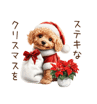 やさしいサンタトイプードルのクリスマス（個別スタンプ：30）