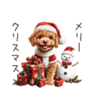 やさしいサンタトイプードルのクリスマス（個別スタンプ：31）