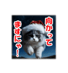 師走のにゃんこ♥年始もあり◎（個別スタンプ：6）