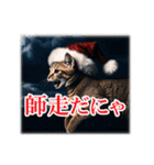 師走のにゃんこ♥年始もあり◎（個別スタンプ：9）