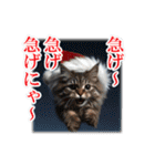 師走のにゃんこ♥年始もあり◎（個別スタンプ：13）