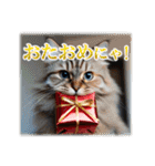 師走のにゃんこ♥年始もあり◎（個別スタンプ：17）