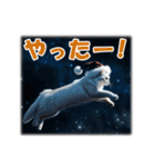 師走のにゃんこ♥年始もあり◎（個別スタンプ：19）