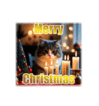 師走のにゃんこ♥年始もあり◎（個別スタンプ：20）