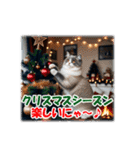 師走のにゃんこ♥年始もあり◎（個別スタンプ：23）