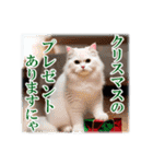 師走のにゃんこ♥年始もあり◎（個別スタンプ：25）