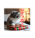 師走のにゃんこ♥年始もあり◎（個別スタンプ：26）