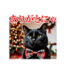 師走のにゃんこ♥年始もあり◎（個別スタンプ：27）
