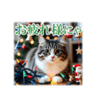 師走のにゃんこ♥年始もあり◎（個別スタンプ：28）